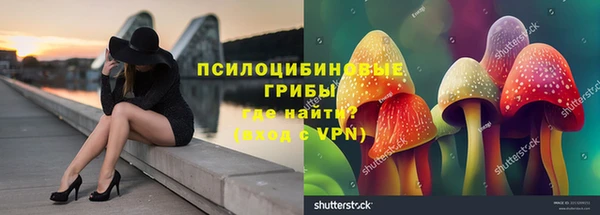 прущая мука Армянск