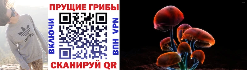купить наркотик  Алзамай  Псилоцибиновые грибы ЛСД 